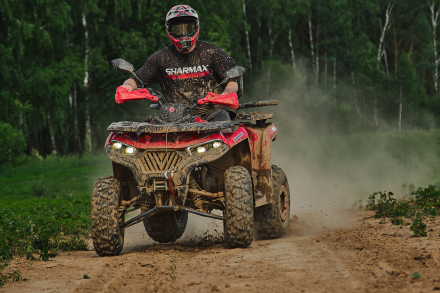 Квадроцикл SHARMAX Hummer 320 RX, фото 19