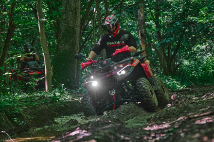 Квадроцикл SHARMAX Hummer 320 RX, фото 17