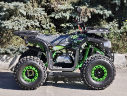 Квадроцикл RMOTO Lion 125AR Lite, фото 6 Квадроцикл RMOTO Lion 125AR Lite, фото 6