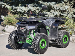 Квадроцикл RMOTO Lion 125AR Lite, фото 3 Квадроцикл RMOTO Lion 125AR Lite, фото 3