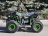 Квадроцикл RMOTO Lion 125AR Lite