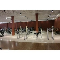 E-1041В Скамья-стойка для жима под углом вниз (Olympic Decline Bench), фото 2