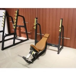 E-1042В Скамья-стойка для жима под углом вверх (Olympic Bench Incline), фото 2