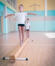 Бревно гимнастическое напольное 5 м