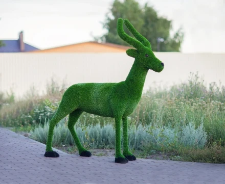 Топиари &quot;Импала&quot;, фото 1