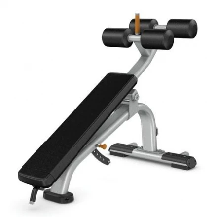 Скамья для пресса с регулируемым углом наклона PRECOR DBR113, фото 1