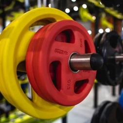Диск обрезиненный PROFI-FIT цветной FASSION D-51,  5 кг, фото 2