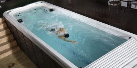 Плавательный спа бассейн Gocciaspa Olympic Silver, фото 2