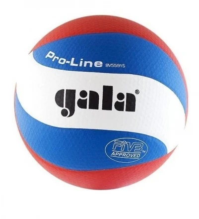 Мяч волейбольный GALA Pro-line 10 FIVB, фото 1