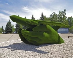 Топиари Самолет в ладонях - газон Есо, фото 2