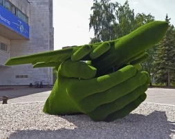 Топиари Самолет в ладонях - газон Есо, фото 1