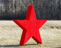 Топиари Звезда - газон Eco, фото 1