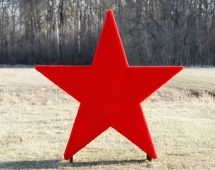 Топиари Звезда - газон Eco