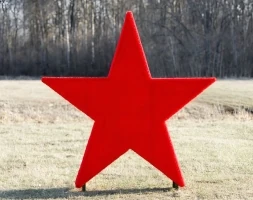 Топиари Звезда - газон Eco, фото 2