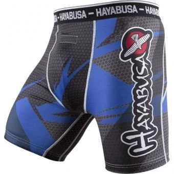 Шорты Hayabusa hayshorts057, фото 1