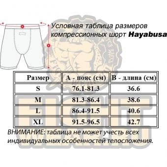 Шорты Hayabusa hayshorts057, фото 3