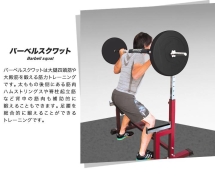 Стойка под штангу DFC DZ001B