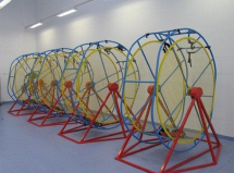 Рейнское колесо Рейнское колесо