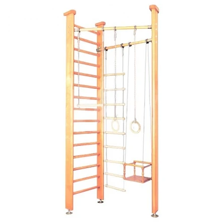 Детский спортивный комплекс (ДСК) &quot;Карусель 3Д.01.01&quot;, светлый, фото 1