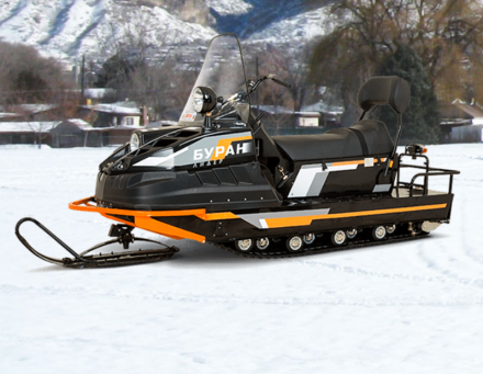 Снегоход Буран Лидер АДЕ, фото 1