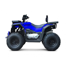 Квадроцикл Progasi Race Jumper 200 Max Power