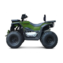 Квадроцикл Progasi Race Jumper 200 Max Power