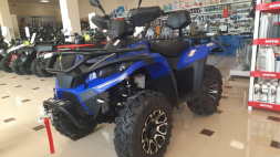 Квадроцикл LINHAI-YAMAHA D300, фото 6