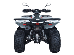 Квадроцикл ACCESS AMX600 Long Base (ПСМ), фото 3 Квадроцикл ACCESS AMX600 Long Base (ПСМ), фото 3