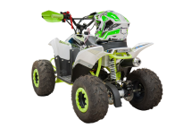 Квадроцикл RACER RC 110 Coyote Квадроцикл RACER RC 110 Coyote