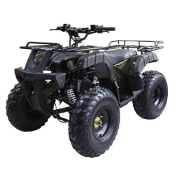 Квадроцикл WELS ATV Thunder 150, фото 1