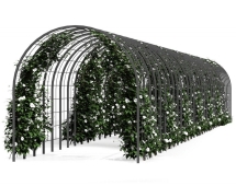 Арка-шпалера Зеленый портал