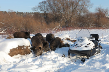 Снегоход Тайга Варяг 550 V SE Снегоход Тайга Варяг 550 V SE