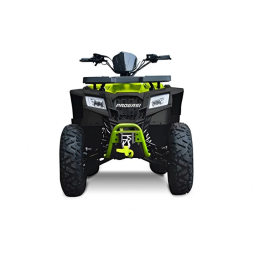 Квадроцикл Progasi Race Jumper 200 SE, фото 11