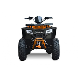 Квадроцикл Progasi Race Jumper 200 SE, фото 5