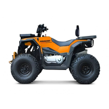 Квадроцикл Progasi Race Jumper 200 SE