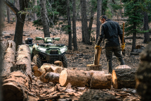 Квадроцикл KAWASAKI Brute Force 750 LE EPS (2024) (ПСМ) Квадроцикл KAWASAKI Brute Force 750 LE EPS (2024) (ПСМ)