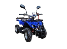 Квадроцикл RAPTOR Max Pro 49cc (2024)