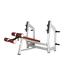 BRONZE GYM H-024_C Скамья для жима с отрицательным наклоном