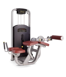 Сгибание ног лежа BRONZE GYM MV-013A Сгибание ног лежа BRONZE GYM MV-013A