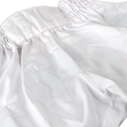 Тайские Шорты Venum ventshorts023, фото 3