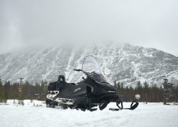 Снегоход SHARMAX SHP-1000 EFI, фото 7