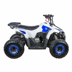 Квадроцикл детский YACOTA RAPOSA, фото 7 Квадроцикл детский YACOTA RAPOSA, фото 7