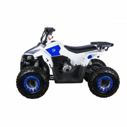 Квадроцикл детский YACOTA RAPOSA, фото 6 Квадроцикл детский YACOTA RAPOSA, фото 6