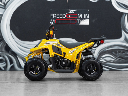 Квадроцикл SHARMAX 130 Cross, фото 25