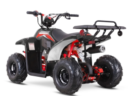 Квадроцикл SHARMAX 130 Cross, фото 2