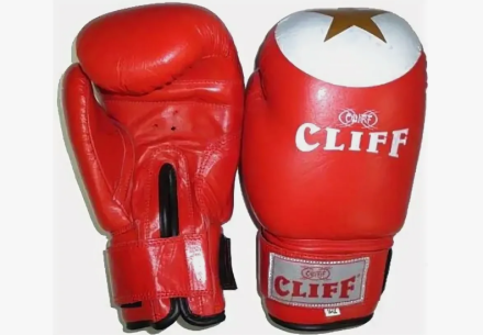 Перчатки бокс TIGER STAR (FLEX) 10 oz красные, фото 1