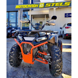 Квадроцикл Regulmoto TBM Thunder Basic 125, фото 5