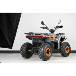 Квадроцикл Regulmoto TBM Thunder Basic 125, фото 2