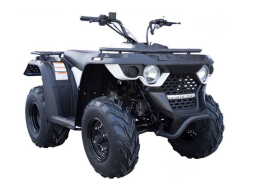 Квадроцикл LINHAI-YAMAHA M200, фото 2