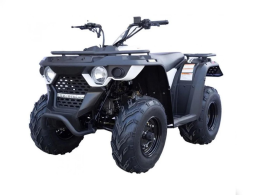 Квадроцикл LINHAI-YAMAHA M200, фото 1
